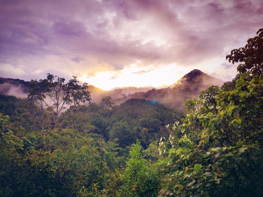 Building Positive Daily Routines: Making It Part of Your Day