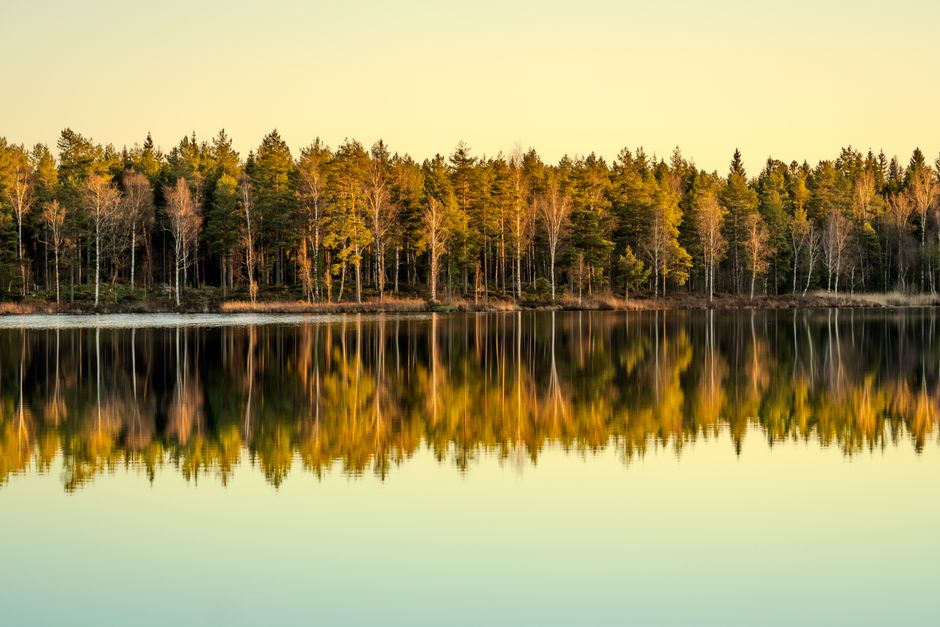 Creating Healthy Long-Term Habits: A Time-Friendly Approach