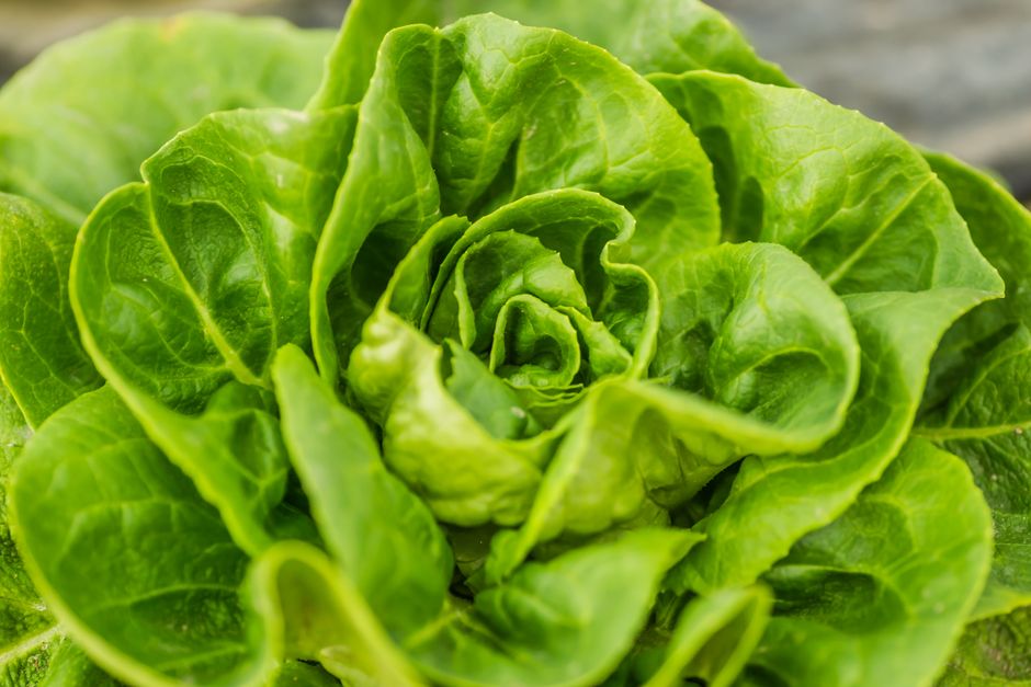 Small Wins With Why Fibre Helps You Feel Full, on a Normal Week