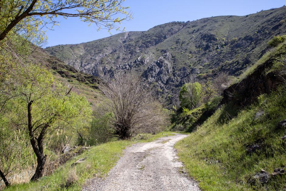 The Habit Of Moving Through The Day: A Simple, Practical Guide