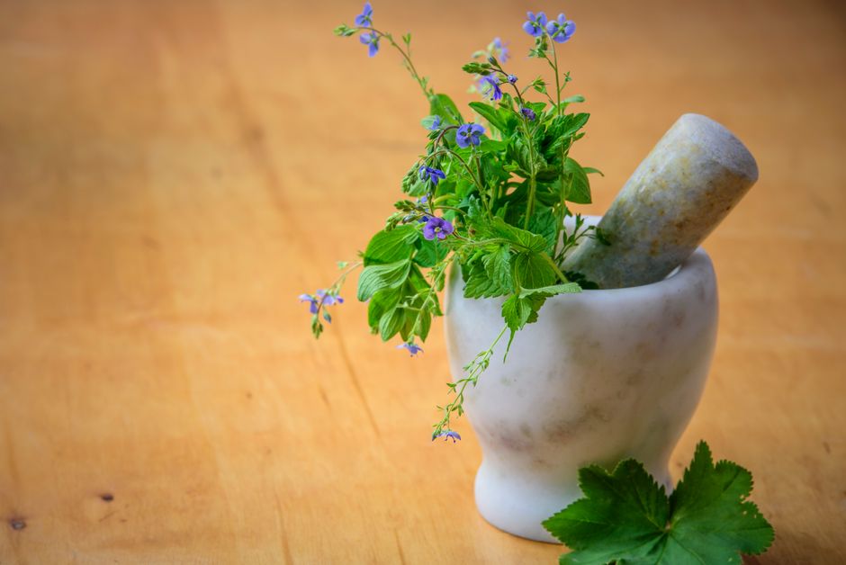 The Quiet Value of Herbs And Botanicals: A Cautious Look, for Real Life